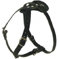 Tracking Harness